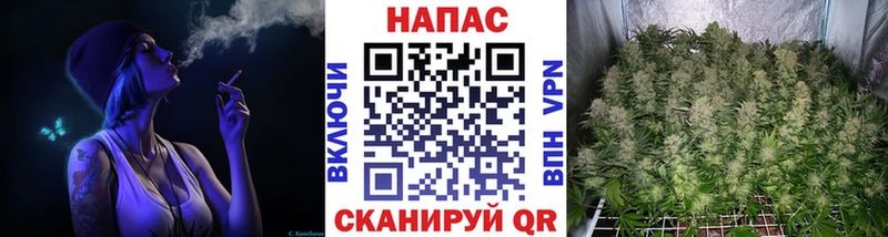 Бошки марихуана Bruce Banner как найти закладки Ачхой-Мартан